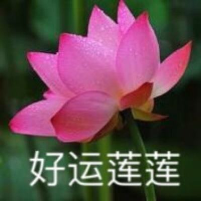 03版要闻 - 李强结束出访回到北京